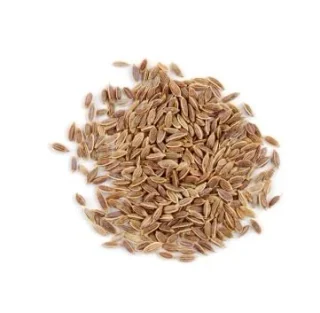 Tukhm-e-Soya (Dill Seeds / Sowa)