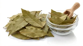 Tez Patta (Premium Indian Bay Leaves)