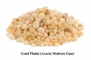 Gond Phulai (Acacia Modesta Gum)