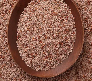 Ispaghol Sabat Whole (Plantago ovata Seeds)