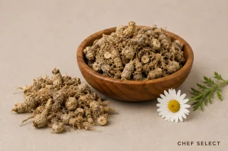 Aqar Karah (Anacyclus pyrethrum)