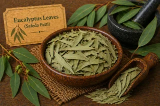 Dried Eucalyptus Leaves (Safeda Patti)
