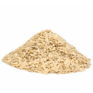 Maghaz Kharbooza (Melon Seed Kernels)