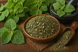Dried Arusa Leaves (Barg-e-Arusa / Vasaka)
