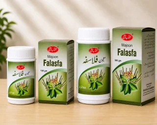 Majoon Falasfa