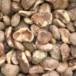 Singhara Khushk (Dried Water Chestnut)
