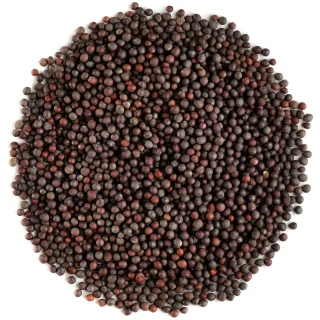Black Sarson (Black Mustard Seeds)