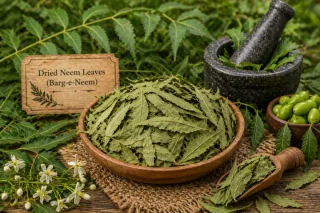 Dried Neem Leaves (Barg-e-Neem)