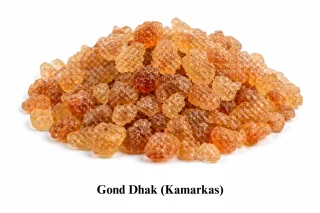 Gond Dhak (Kamarkas / Butea Gum)