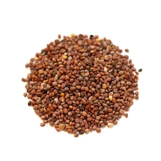 Tukhm-e-Mooli (Radish Seeds)