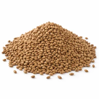 Tukhm-e-Ajwain (Ajwain / Carom Seeds)