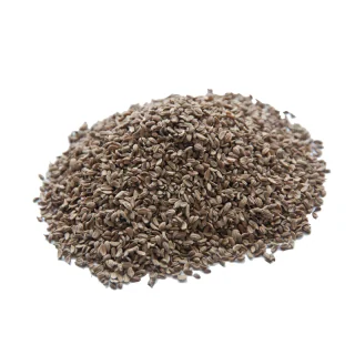 Tukhm-e-Gajar (Carrot Seeds)