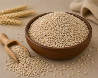 Barley Grain (Sabut Jau / Whole Barley)