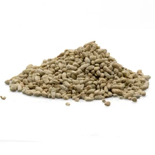 Whole Cotton Seeds (Binola / Banola)