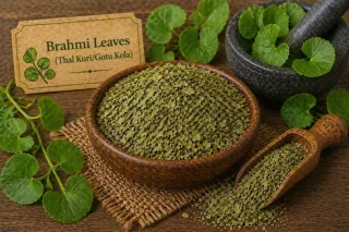 Dried Gotu Kola Leaves (Brahmi / Thal Kuri)