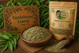 Dried Sandalwood Leaves (Chandan Patti)