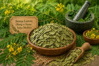 Dried Senna Leaves (Barg-e-Sana / Sana Makki)