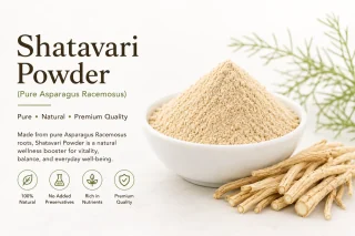 Shatavari Powder (Pure Asparagus Racemosus)