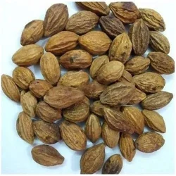 Harar Khushk (Terminalia chebula)