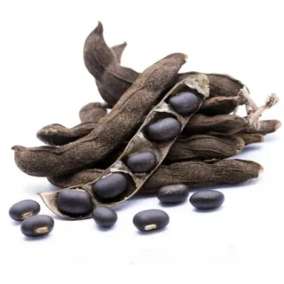 Konch Seeds (Mucuna Pruriens)