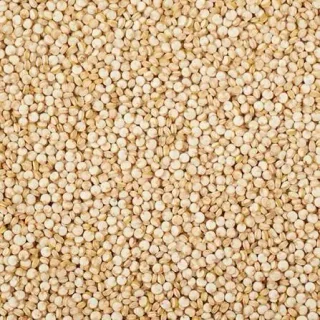 White Quinoa (Whole Quinoa Grain)
