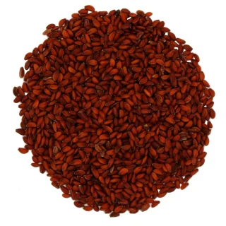 Halon Seeds (Garden Cress)