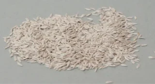 Tukhm-e-Kahu (Lettuce Seeds)