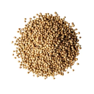 Sabut Dhaniya (Whole Coriander Seeds)
